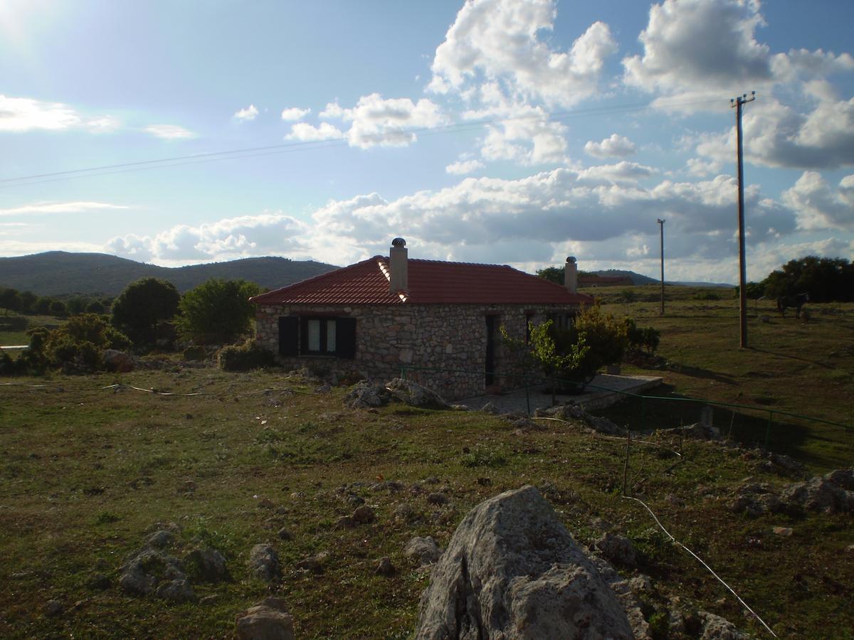 Arachovitika Kalivia Karyes