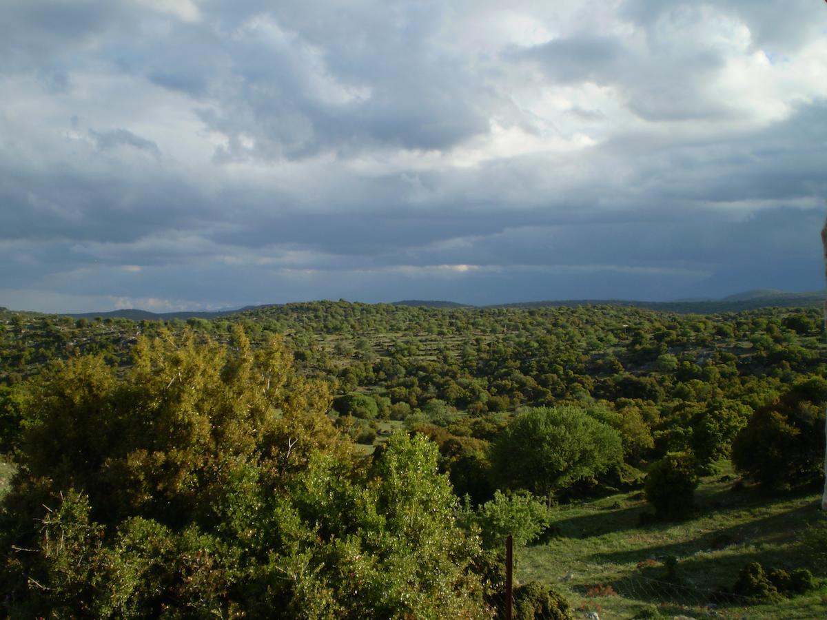 Arachovitika Kalivia 3* Karyes